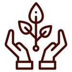 Eco-Friendly Dentistry